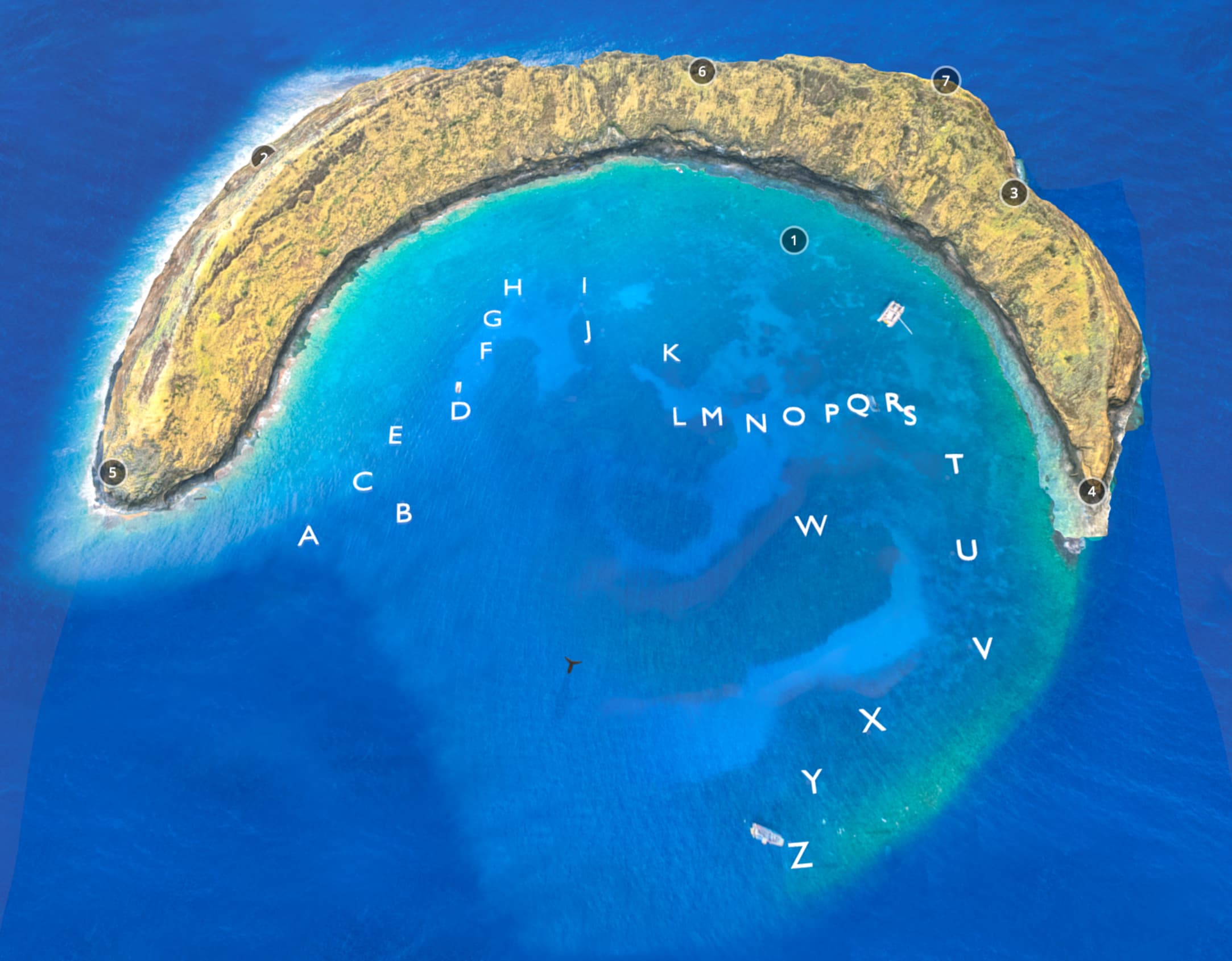 Geospatial Mapping & Capture